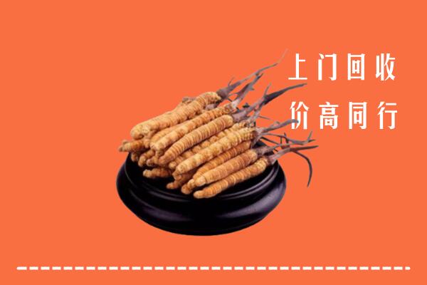 高价求购：门头沟回收散虫草