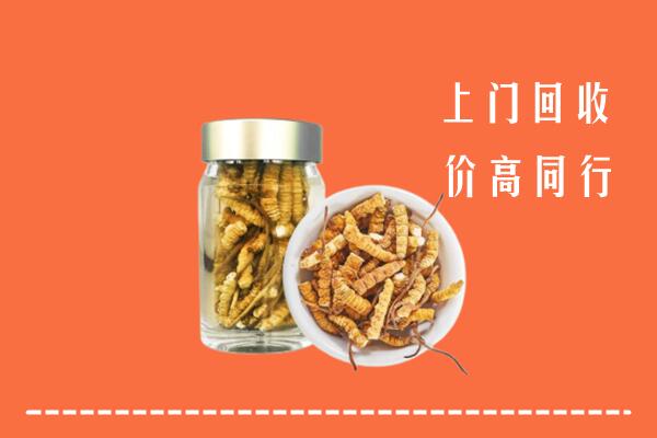 门头沟回收冬虫夏草
